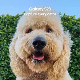 Buy Samsung,Samsung Galaxy S23 5G 256GB Mobile Phone - Green - Gadcet UK | UK | London | Scotland | Wales| Ireland | Near Me | Cheap | Pay In 3 | Unlocked Mobile Phones