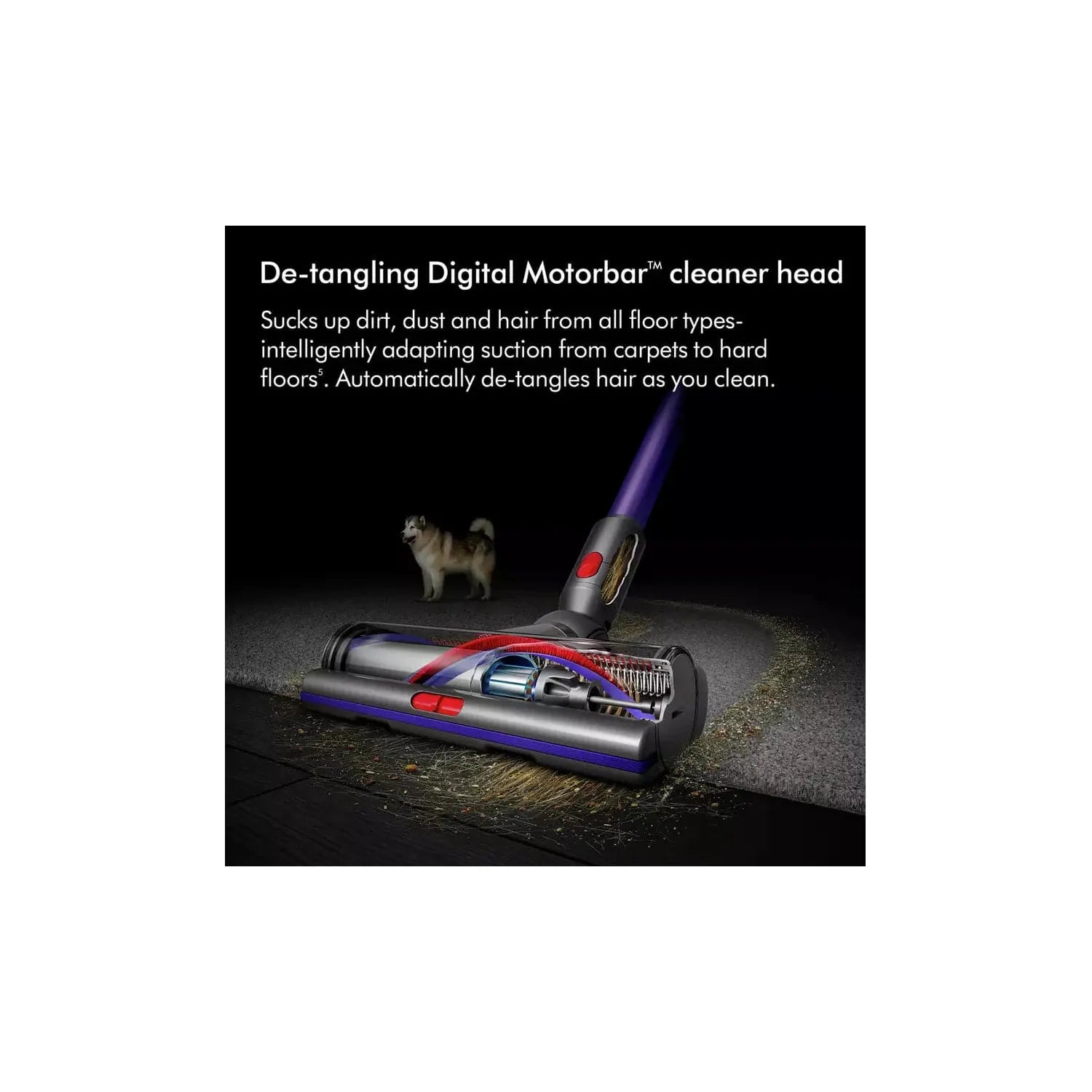Buy Dyson,Dyson Gen5detect Absolute Pet Cordless Vacuum Cleaner - Gadcet UK | UK | London | Scotland | Wales| Ireland | Near Me | Cheap | Pay In 3 | Vacuums