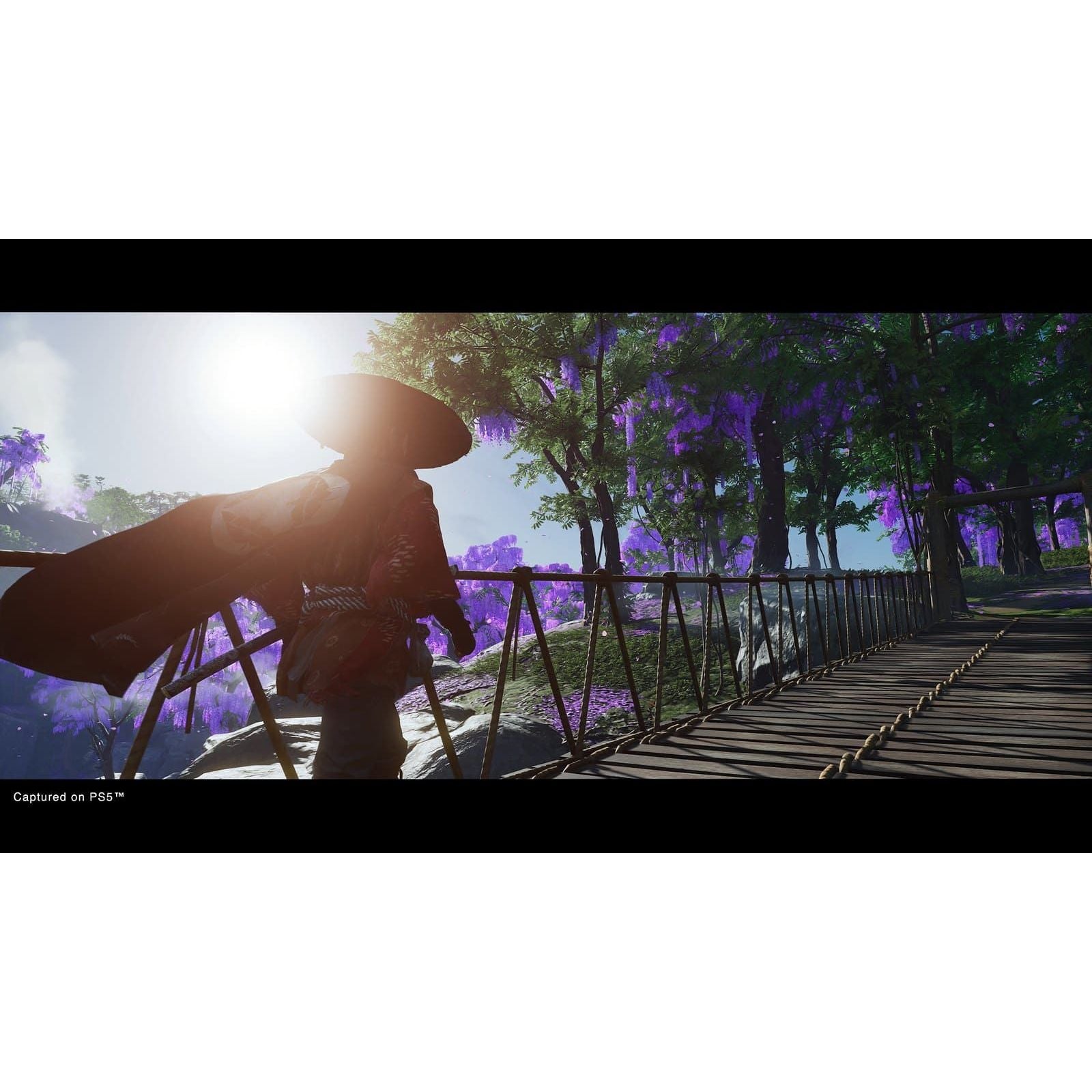 Buy playstation,Ghost Of Tsushima Director's Cut for PS5 - Gadcet.com | UK | London | Scotland | Wales| Ireland | Near Me | Cheap | Pay In 3 | Video Game Software