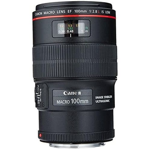Buy Canon,Canon EF 100mm f/2.8L IS USM Macro Lens for Canon Digital SLR Cameras, Lens Only - Gadcet UK | UK | London | Scotland | Wales| Ireland | Near Me | Cheap | Pay In 3 | Camera Lenses