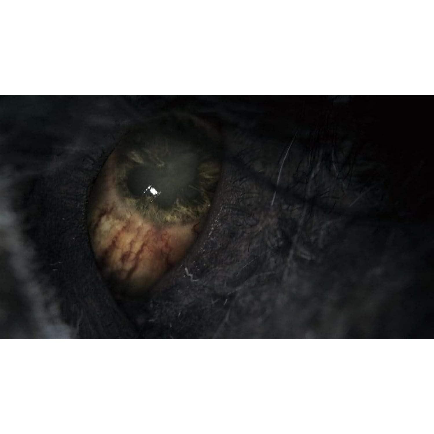 Buy Play station,Bloodborne - Game of the Year Ed. (PlayStation 4) - Gadcet UK | UK | London | Scotland | Wales| Ireland | Near Me | Cheap | Pay In 3 | playstation 4