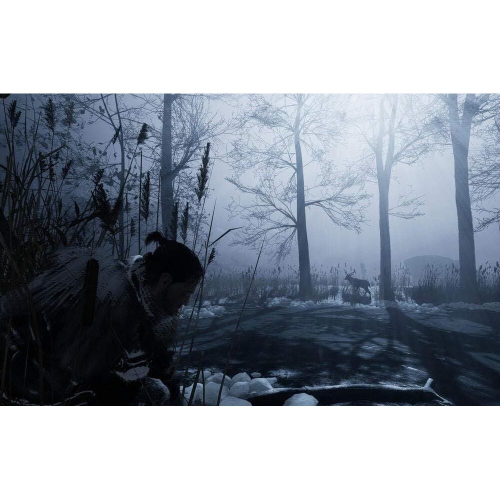 Fade To Silence (PS4) - 5