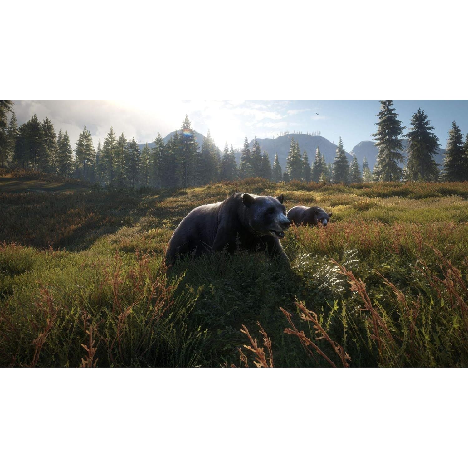 The Hunter: Call Of The Wild - 2019 Edition for Xbox One - 4
