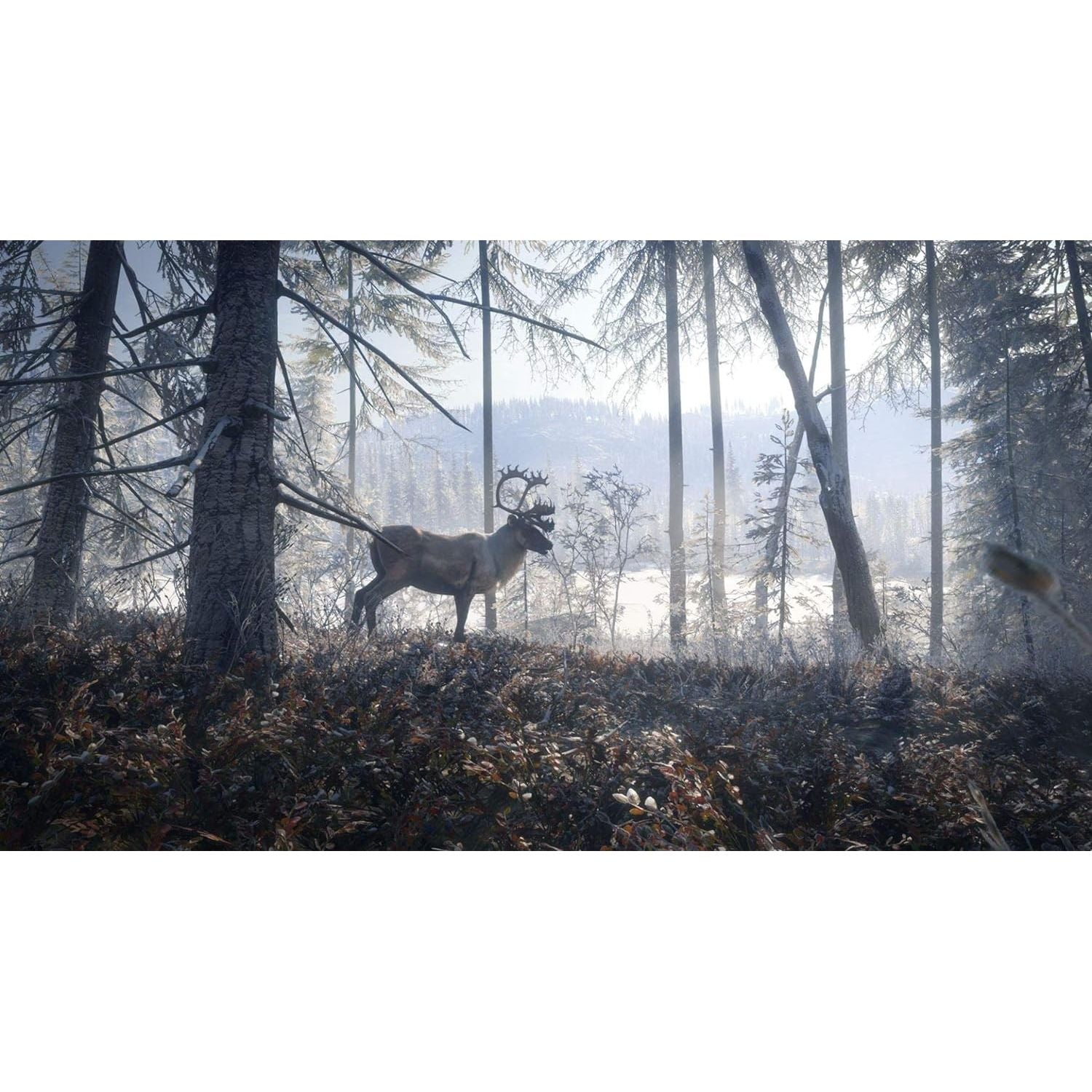 The Hunter: Call Of The Wild - 2019 Edition for Xbox One - 3