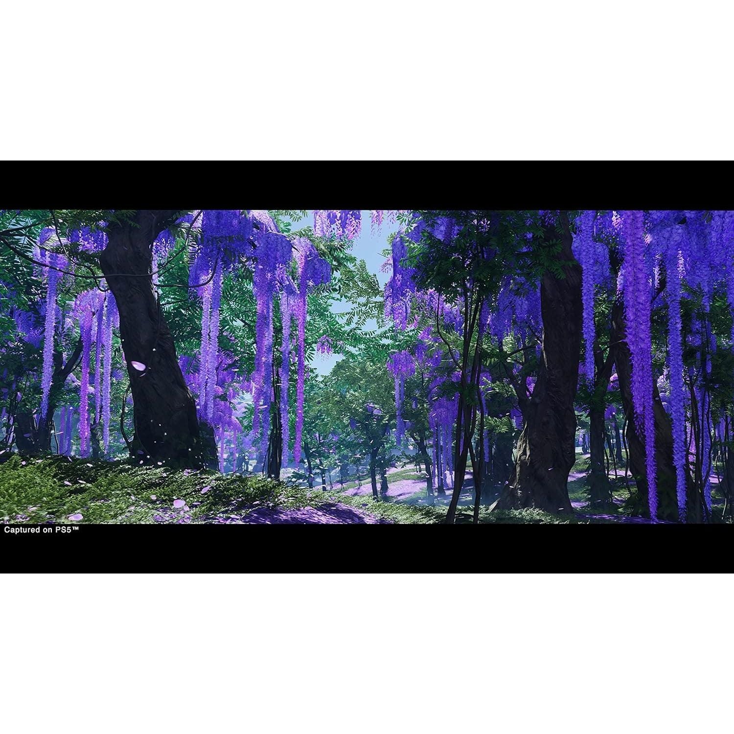 Ghost Of Tsushima Director's Cut (PS5) - 7
