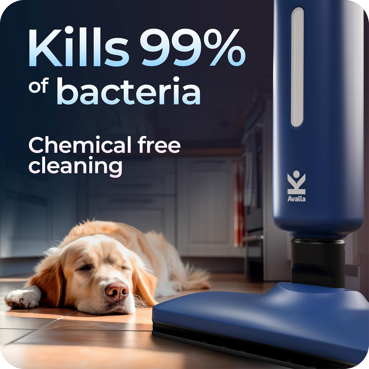 Avalla T-20 high pressure steam mop - blue - 2