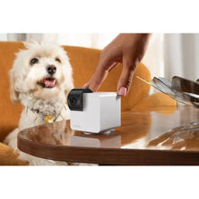 Buy Gadcet Dagenham,PETCUBE Cam 360 Smart Pet Monitoring Camera - Gadcet UK | UK | London | Scotland | Wales| Near Me | Cheap | Pay In 3 | Web Camera