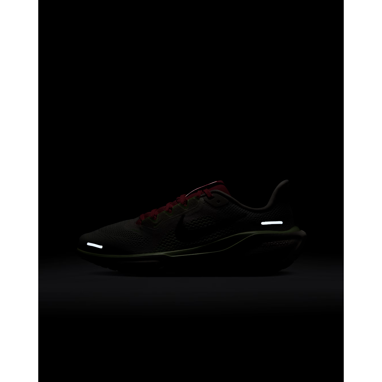 6526b682e719a624d41b5e41_air-zoom-pegasus-41-gs-10-_1764019433704.png