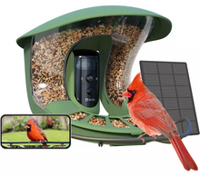 6526b682e719a624d41b5e41_birdfy-1_1757679939636.png