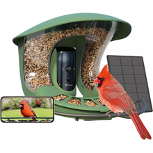 6526b682e719a624d41b5e41_birdfy-1_1757679939636.png