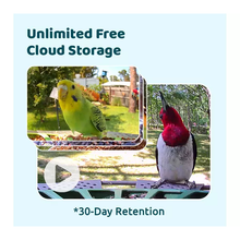 6526b682e719a624d41b5e41_birdfy-3_1757679948767.png