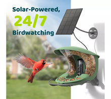 6526b682e719a624d41b5e41_birdfy-5_1757679958562.png