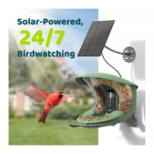 6526b682e719a624d41b5e41_birdfy-5_1757679958562.png