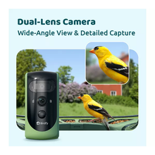 6526b682e719a624d41b5e41_birdfy-6_1757679963551.png