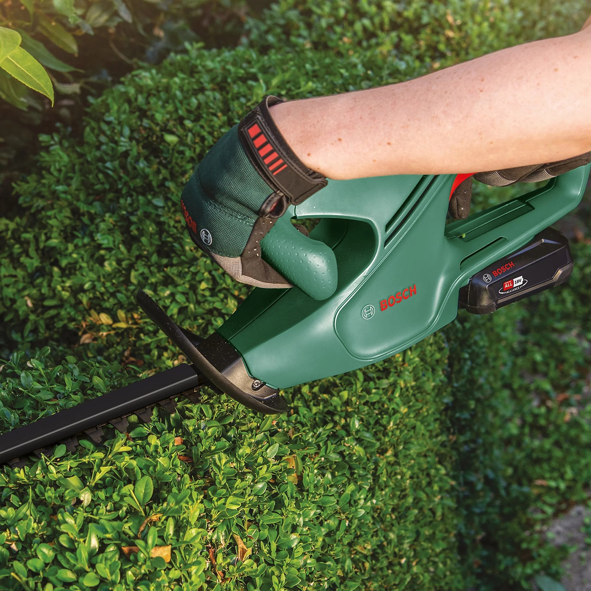 Buy Cashtro Ltd,Bosch Power for all EasyHedgeCut 18-45 18V Cordless 450mm Hedge trimmer - Gadcet UK | UK | London | Scotland | Wales| Near Me | Cheap | Pay In 3 | Hedge trimmer