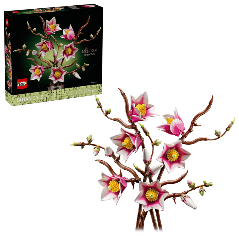 6526b682e719a624d41b5e41_magnolia-2_1774622393814.png