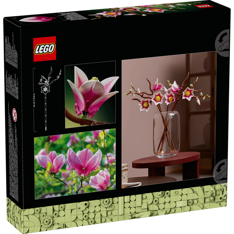 6526b682e719a624d41b5e41_magnolia-9_1774622411156.png