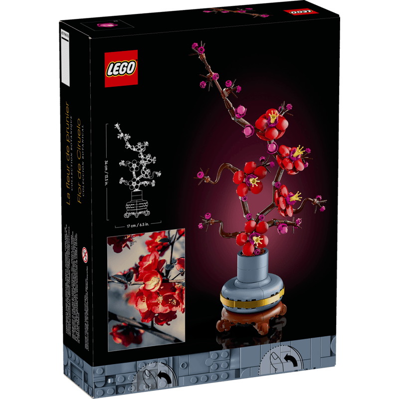 6526b682e719a624d41b5e41_plum-blossom-6_1774624278435.png