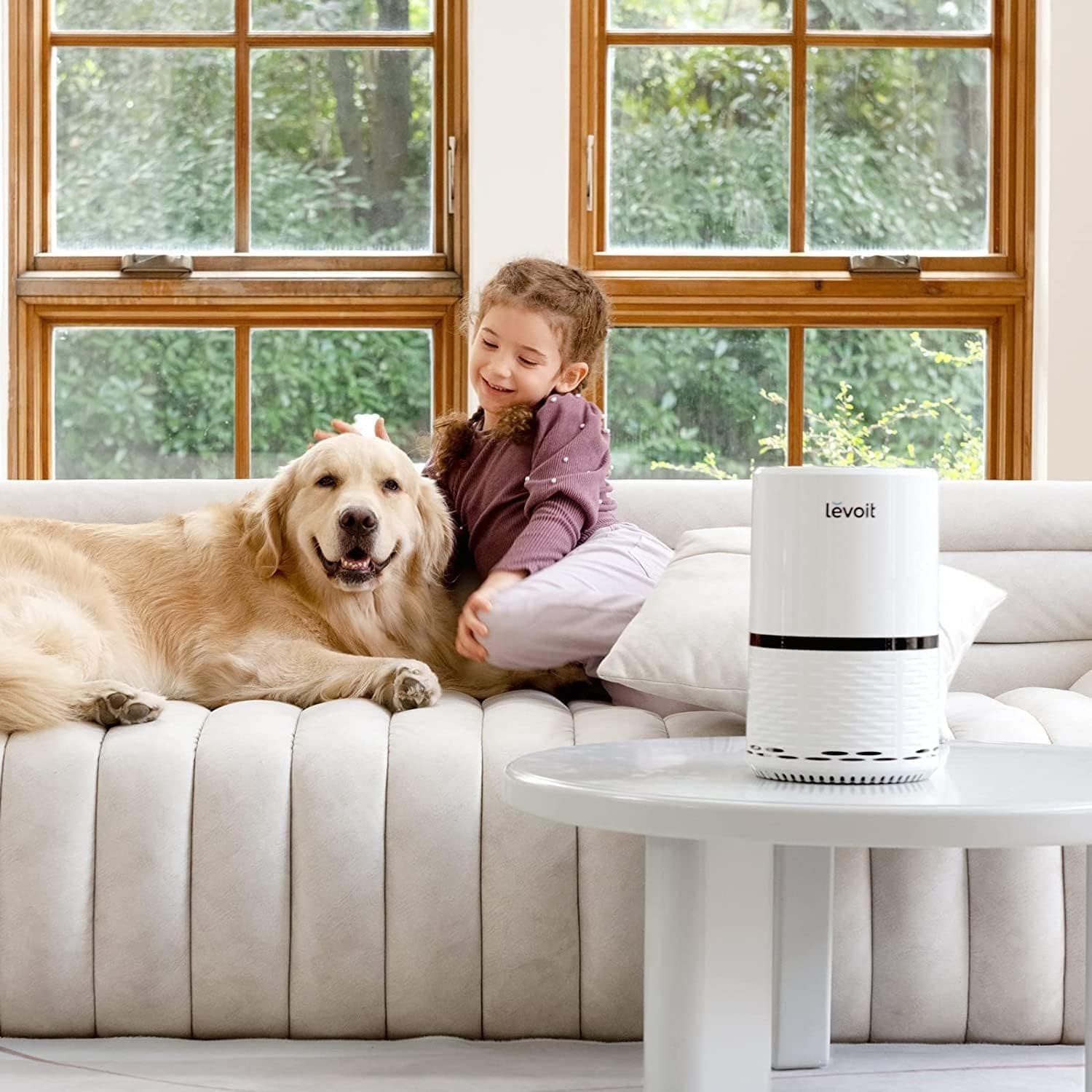 Buy LEVOIT,Levoit Air Purifier for Home, Quiet H13 HEPA Filter Removes Pollen, Allergy Particles - Gadcet UK | UK | London | Scotland | Wales| Ireland | Near Me | Cheap | Pay In 3 | Electronics