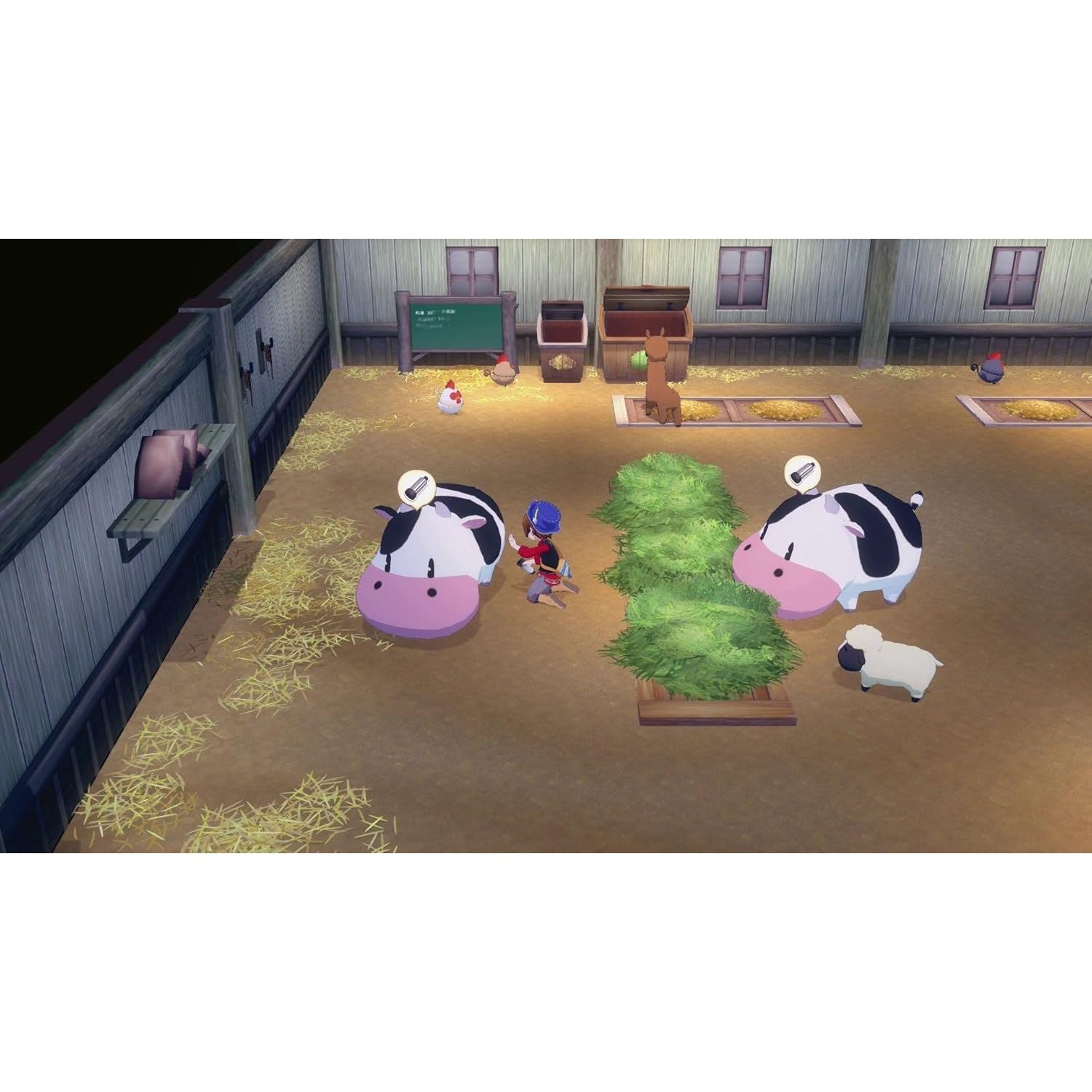 Buy Nintendo Game,Story of Seasons: Grand Bazaar - Switch 2 Game - Gadcet UK | UK | London | Scotland | Wales| Near Me | Cheap | Pay In 3 | Video Game Software