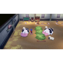Story of Seasons: Grand Bazaar - Switch 2 Game