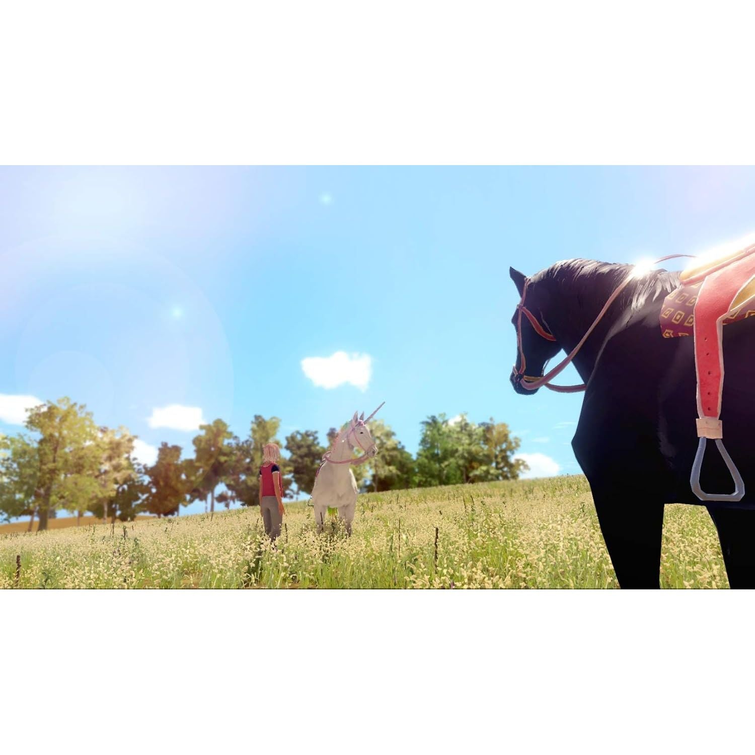 Buy Nintendo Switch,The Unicorn Princess - Nintendo Switch - Gadcet UK | UK | London | Scotland | Wales| Near Me | Cheap | Pay In 3 | Video Game Software