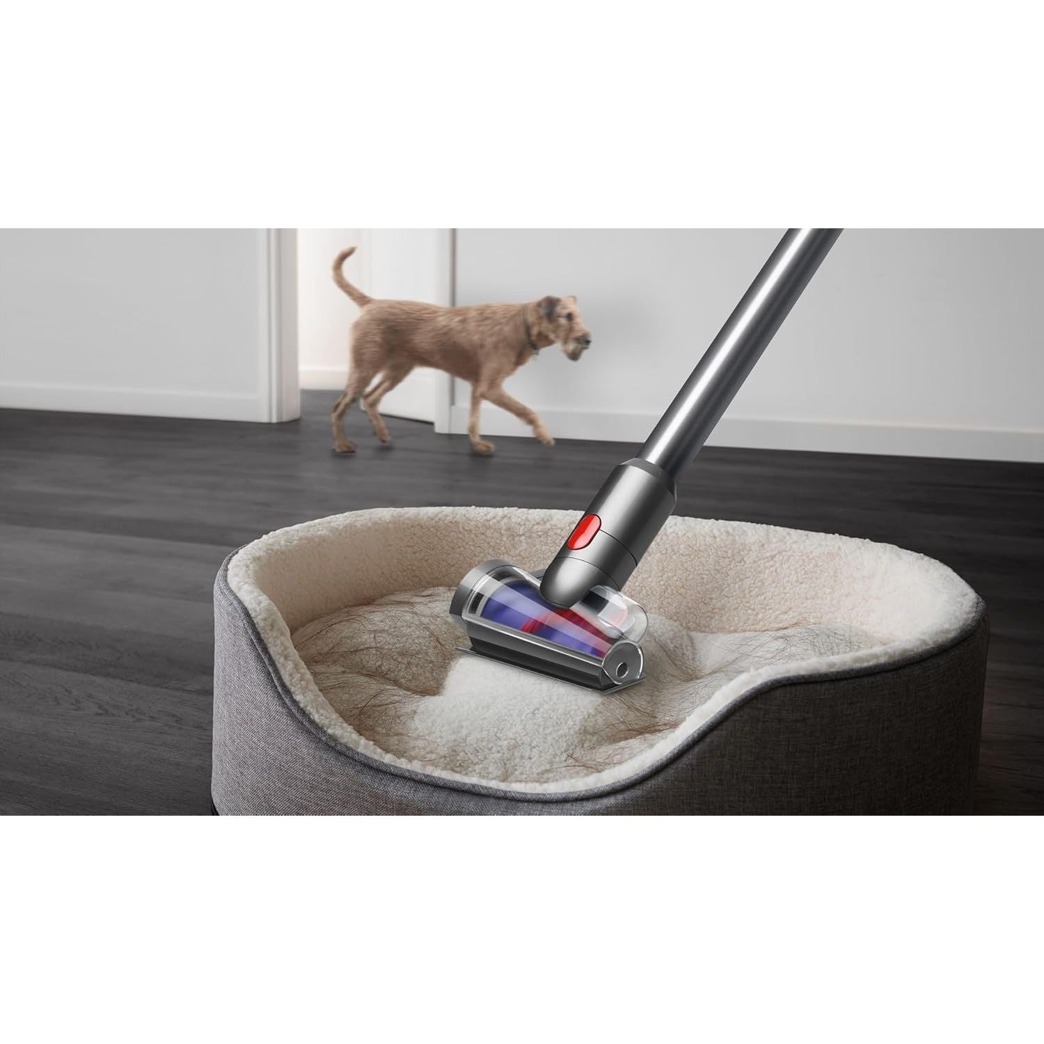 Buy Dyson,Dyson V15 Extra Cordless Vacuum Cleaner - Nickel Blue - Gadcet UK | UK | London | Scotland | Wales| Near Me | Cheap | Pay In 3 |