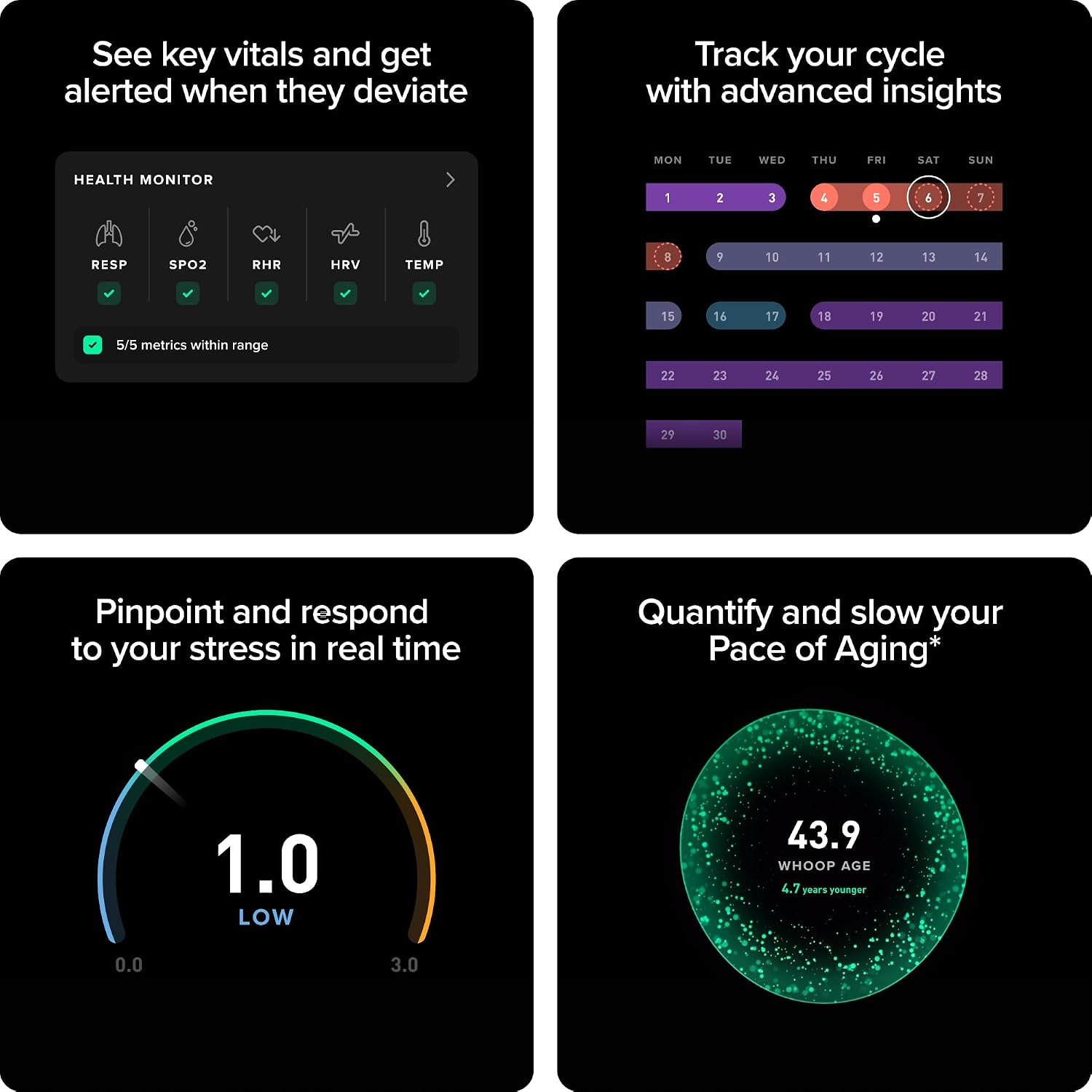 WHOOP 5.0 / WHOOP MG Screenless Health & Fitness Wearable – 12-Month Membership