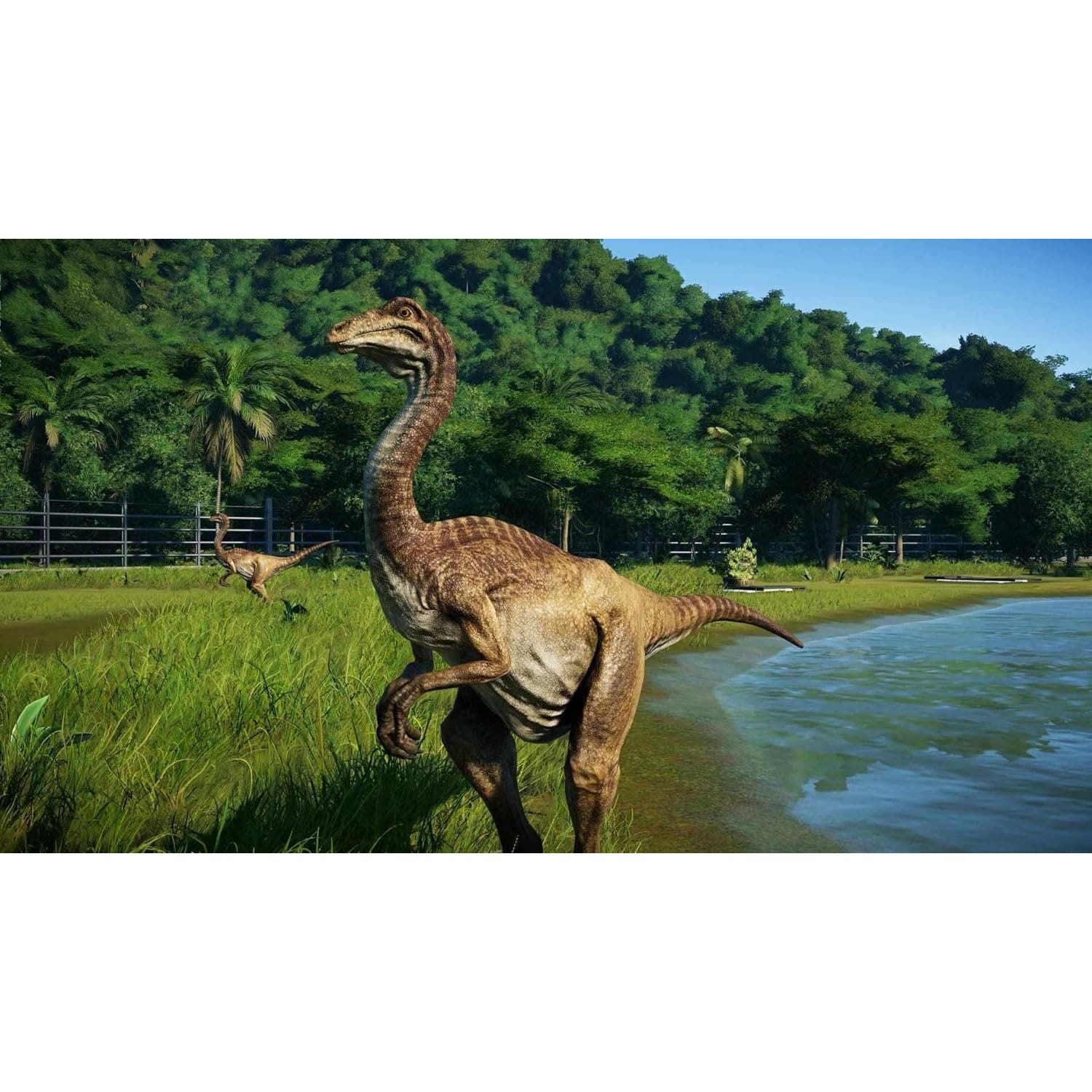 Buy Xbox One,Jurassic World Evolution (Xbox One) - Gadcet UK | UK | London | Scotland | Wales| Near Me | Cheap | Pay In 3 | Video Game Software