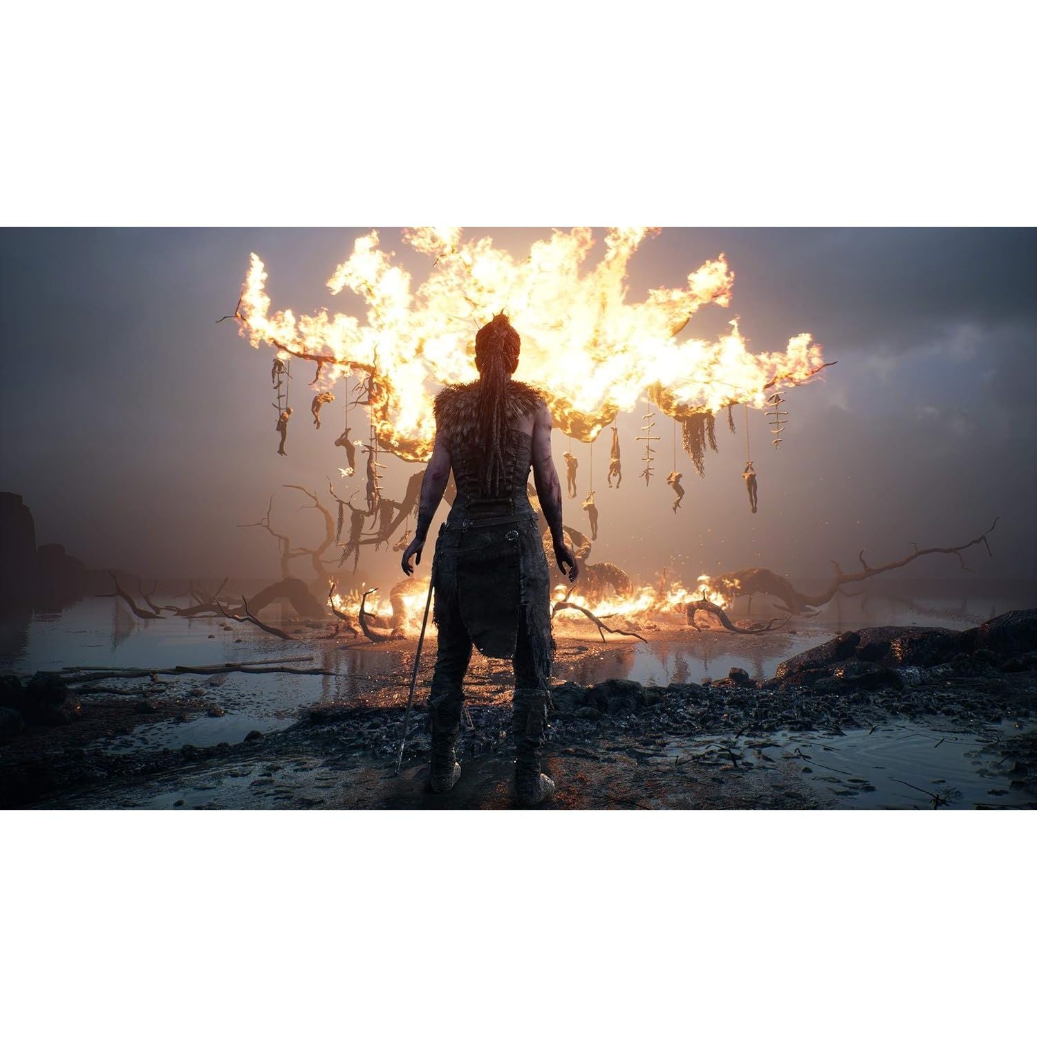 Buy PlayStation,Hellblade: Senua's Sacrifice (PS4) - Gadcet UK | UK | London | Scotland | Wales| Near Me | Cheap | Pay In 3 | Video Game Software