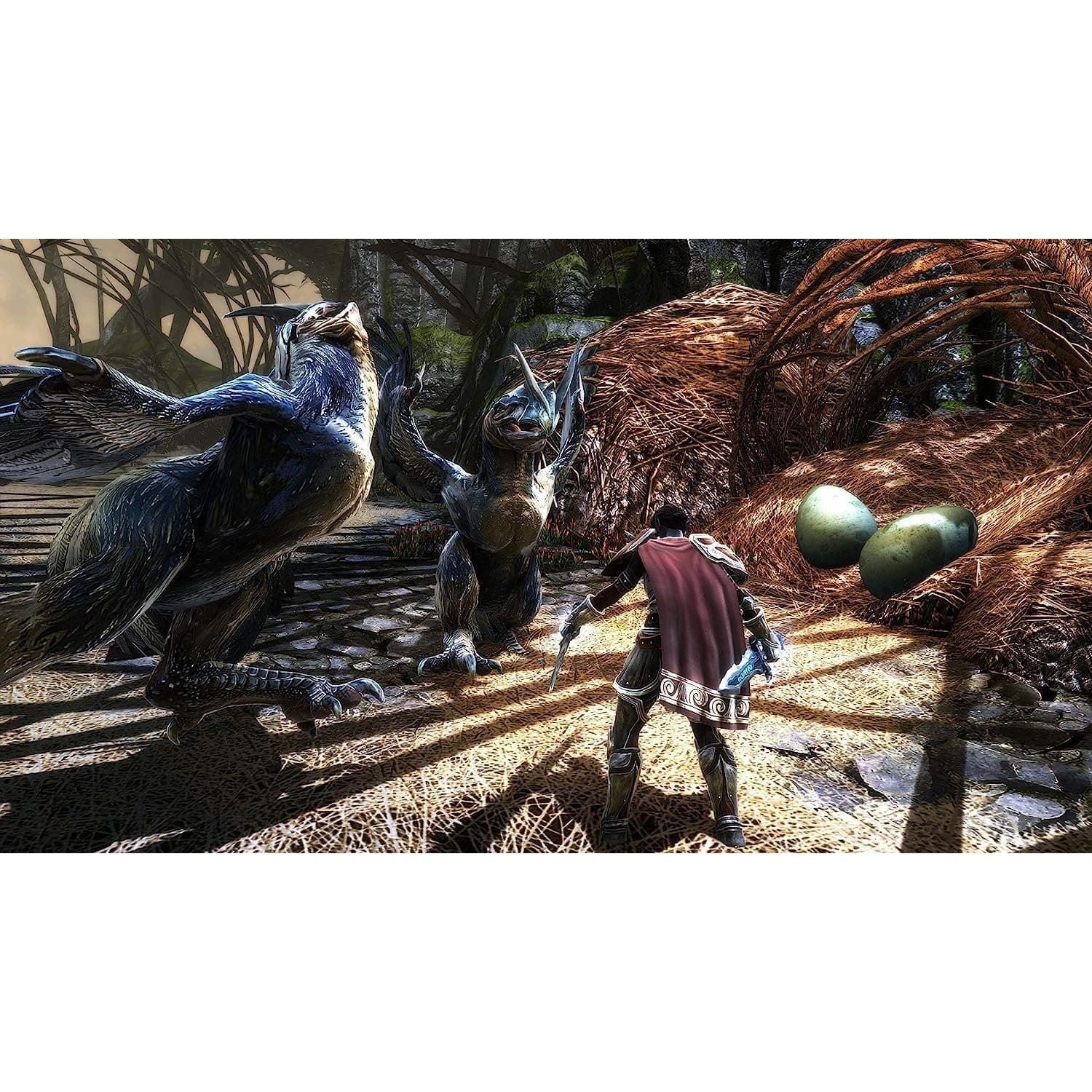 Buy Play station,Kingdoms of Amalur: Re-Reckoning - PlayStation 4 - Gadcet UK | UK | London | Scotland | Wales| Near Me | Cheap | Pay In 3 | Video Game Software
