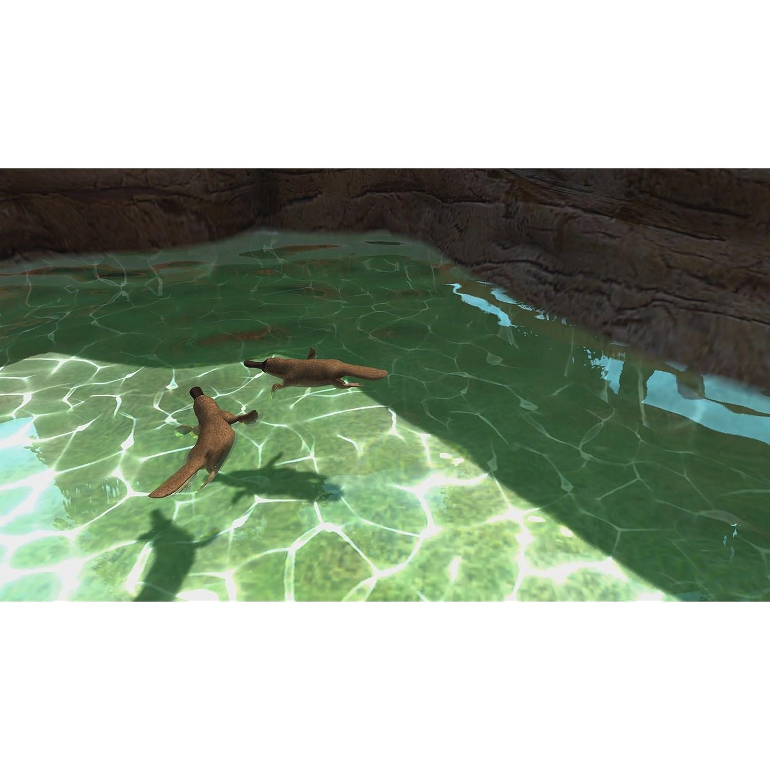 Buy Xbox One,Zoo Tycoon: Ultimate Animal Collection - Xbox One Game - Gadcet UK | UK | London | Scotland | Wales| Near Me | Cheap | Pay In 3 | Video Game Software