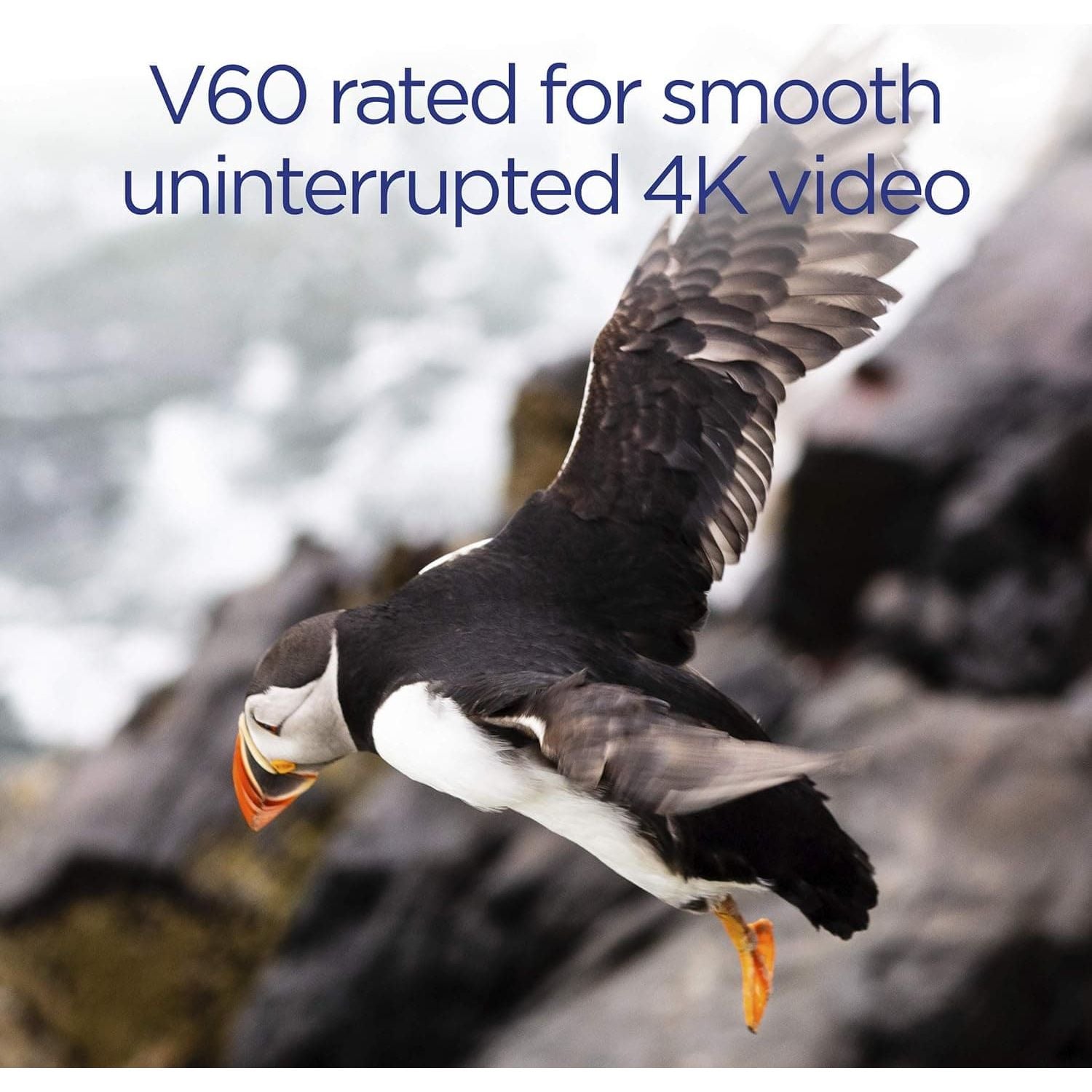 Buy Integral,Integral 64GB UHS-II SD Card V60 Up to 260MBs Read and 100MBs Write Speed 1733X SDXC Professional High Speed Memory Card - Gadcet UK | UK | London | Scotland | Wales| Near Me | Cheap | Pay In 3 | Flash Memory Cards