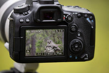 Buy Canon,Canon EOS 90D Body Only,Black - Gadcet.com | UK | London | Scotland | Wales| Ireland | Near Me | Cheap | Pay In 3 | Cameras