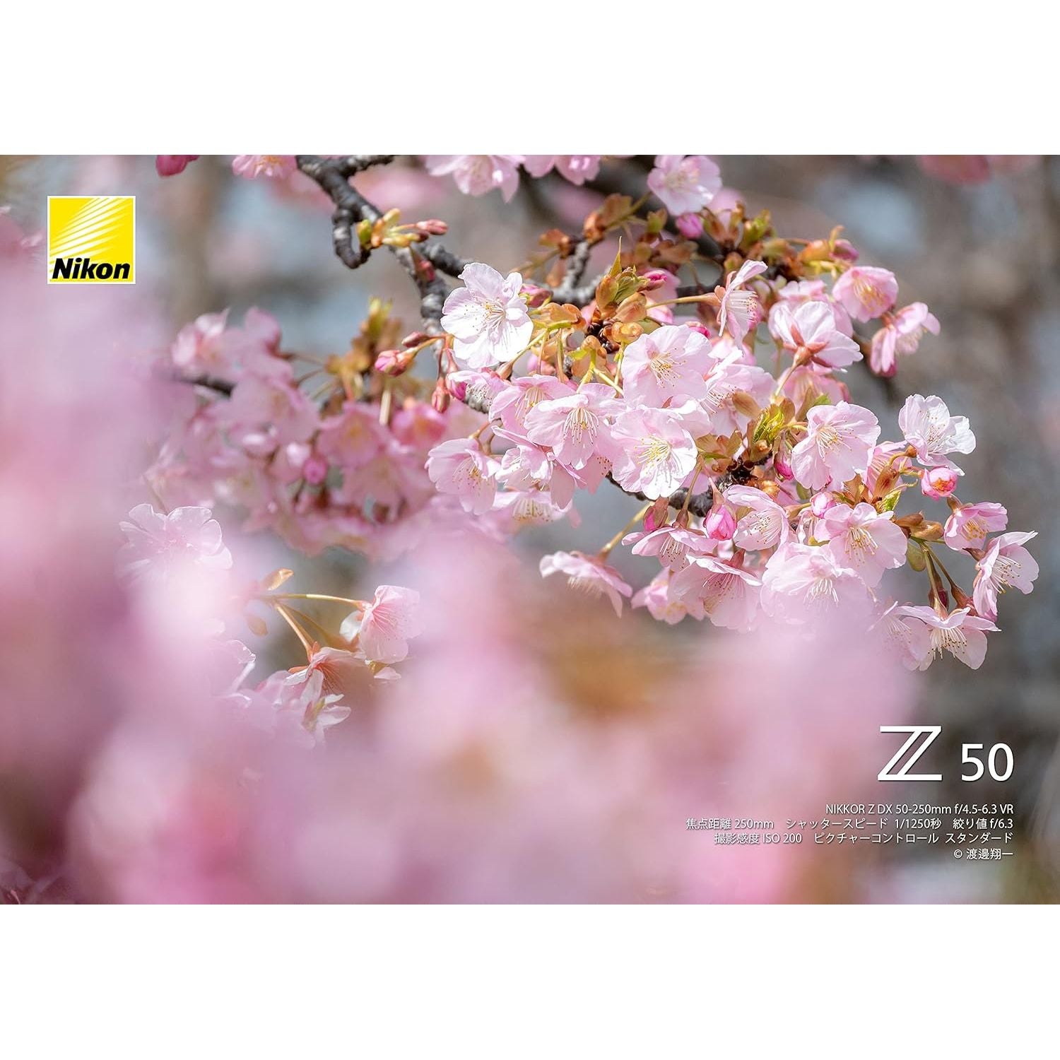 Buy Nikon,Nikon Z50 Mirrorless Camera Kit with Z DX 16-50mm Lens - Gadcet UK | UK | London | Scotland | Wales| Near Me | Cheap | Pay In 3 | Digital Cameras