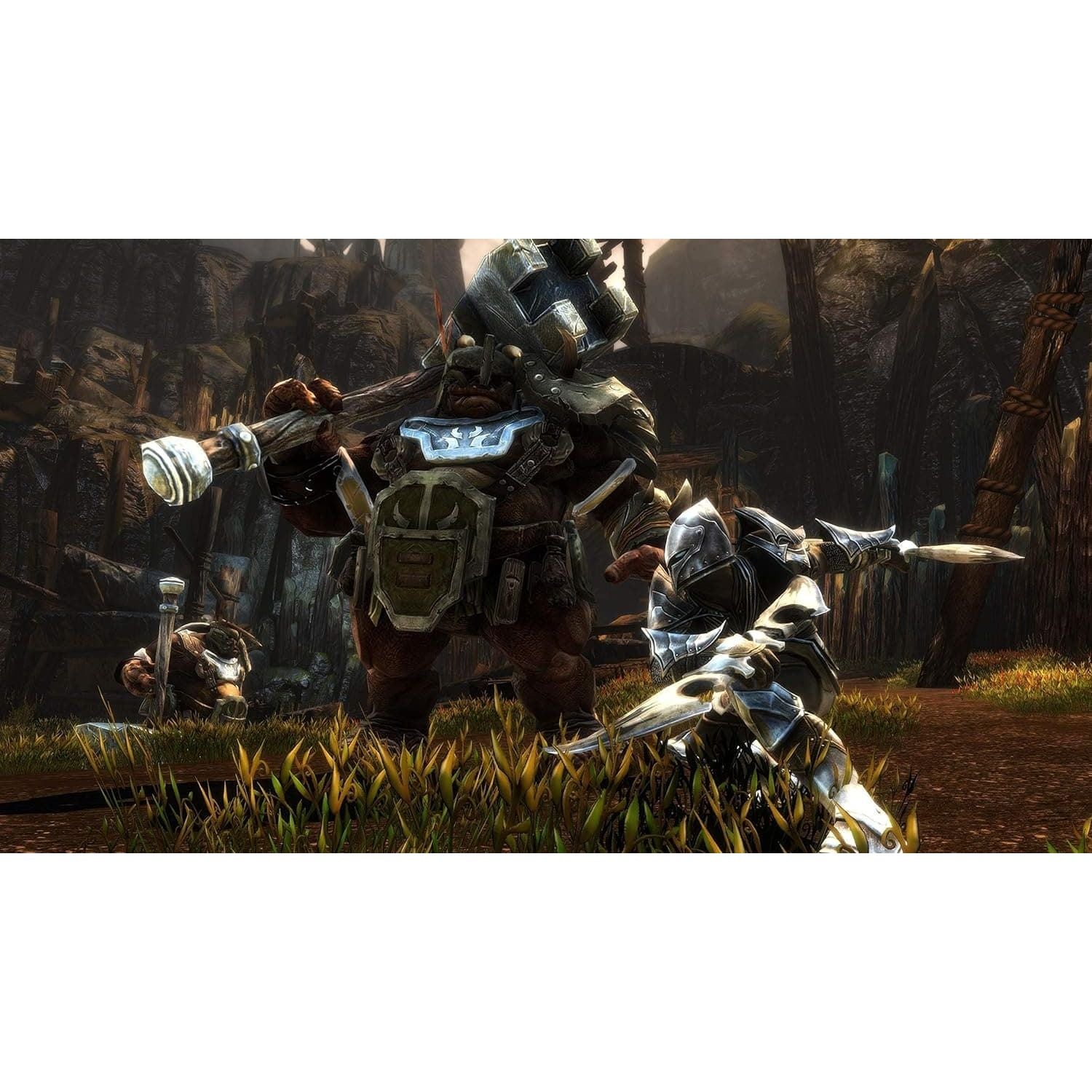 Buy Play station,Kingdoms of Amalur: Re-Reckoning - PlayStation 4 - Gadcet UK | UK | London | Scotland | Wales| Near Me | Cheap | Pay In 3 | Video Game Software