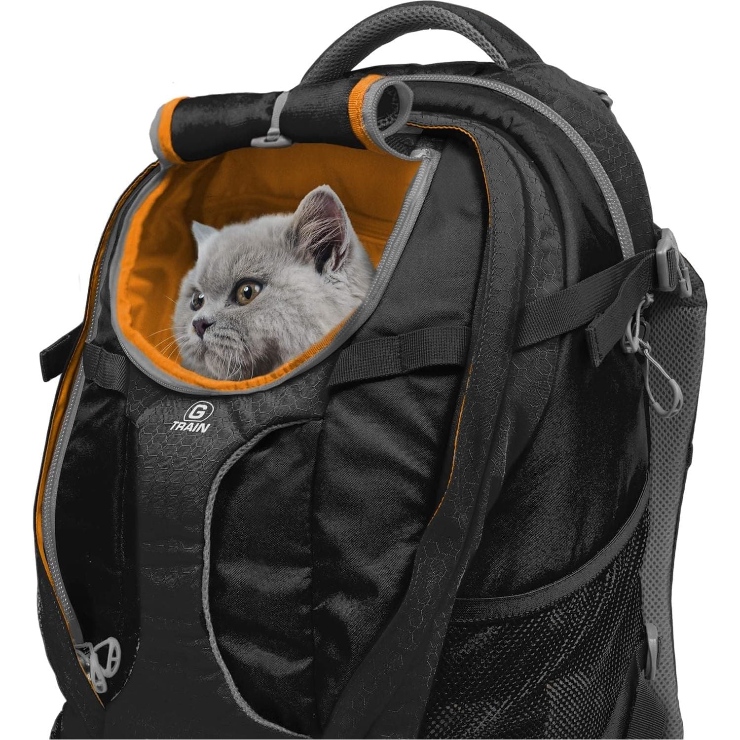 Buy Kurgo,Kurgo G-Train Pack, Carrier Backpack for Small Dogs and Cats, Ideal for Hiking or Travel, Waterproof Bottom, Black - Gadcet UK | UK | London | Scotland | Wales| Ireland | Near Me | Cheap | Pay In 3 | Apparel & Accessories