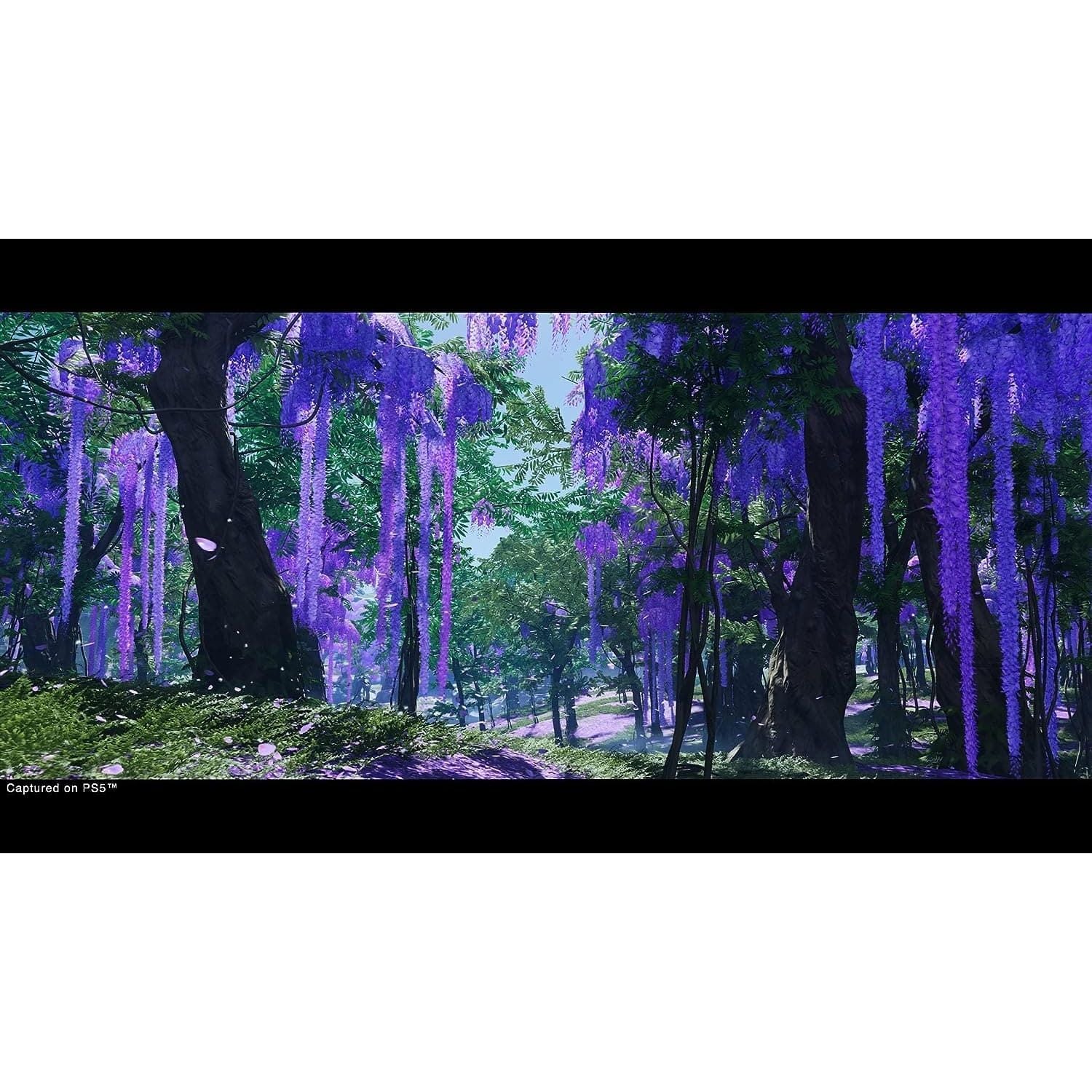 Buy Sony,Ghost of Tsushima: Director’s Cut (PS5) - Gadcet UK | UK | London | Scotland | Wales| Ireland | Near Me | Cheap | Pay In 3 | Video Game Software