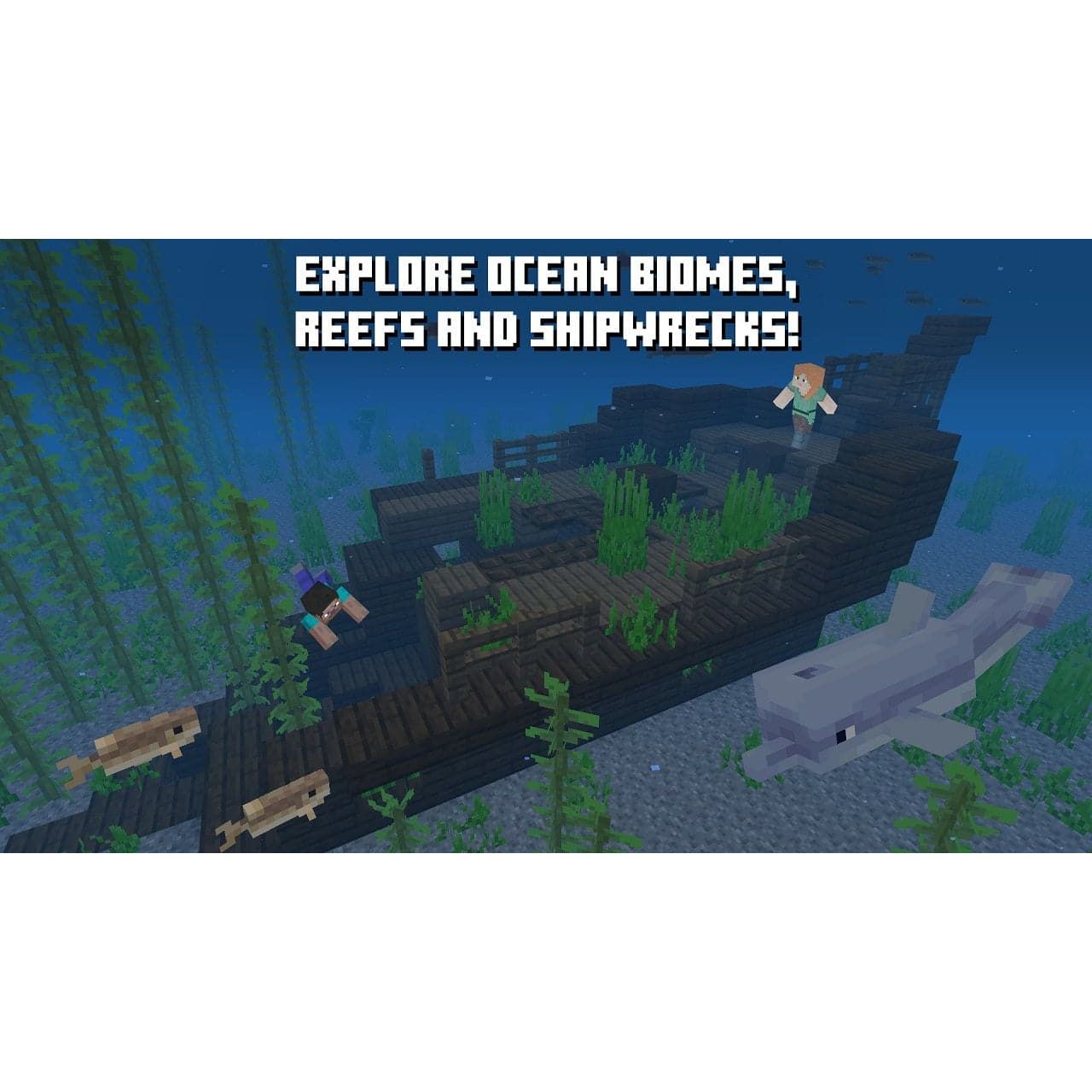 NSwitch_Minecraft_EN_04.jpg