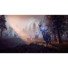 Horizon Zero Dawn (PS4) - 5