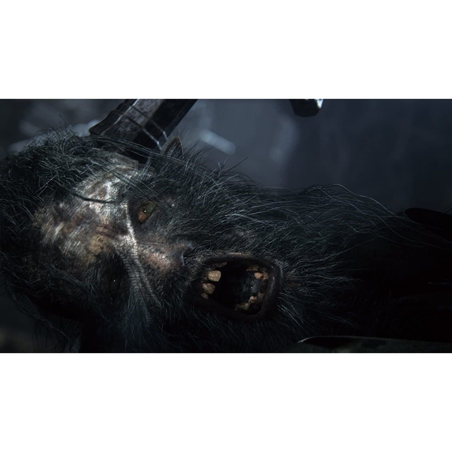 PS4,Bloodborne (PS4) - Gadcet.com