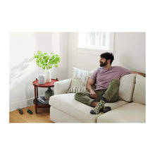 Buy Google,Google Nest Audio Smart Speaker - Chalk - Gadcet.com | UK | London | Scotland | Wales| Ireland | Near Me | Cheap | Pay In 3 | Speakers