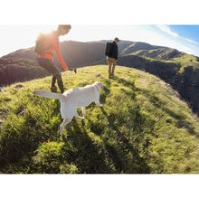 Buy GoPro,GoPro Karma Grip Stabilizer - Black - Gadcet.com | UK | London | Scotland | Wales| Ireland | Near Me | Cheap | Pay In 3 | Camera Stabilizers & Supports