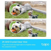 TP-Link,TP-Link Tapo 2K QHD Wireless Outdoor Security Camera, 1-Cam with Hub included, 180-Day Rechargeable Battery, 4MP, Colour Night Vision, AI Detection, SD Storage, Works with Alexa & Google (Tapo C420S1) - Gadcet.com