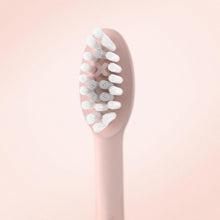 Buy ORDO,Ordo Sonic Electric Toothbrush Charging Travel Case - Rose Gold - Gadcet UK | UK | London | Scotland | Wales| Ireland | Near Me | Cheap | Pay In 3 | Health & Beauty