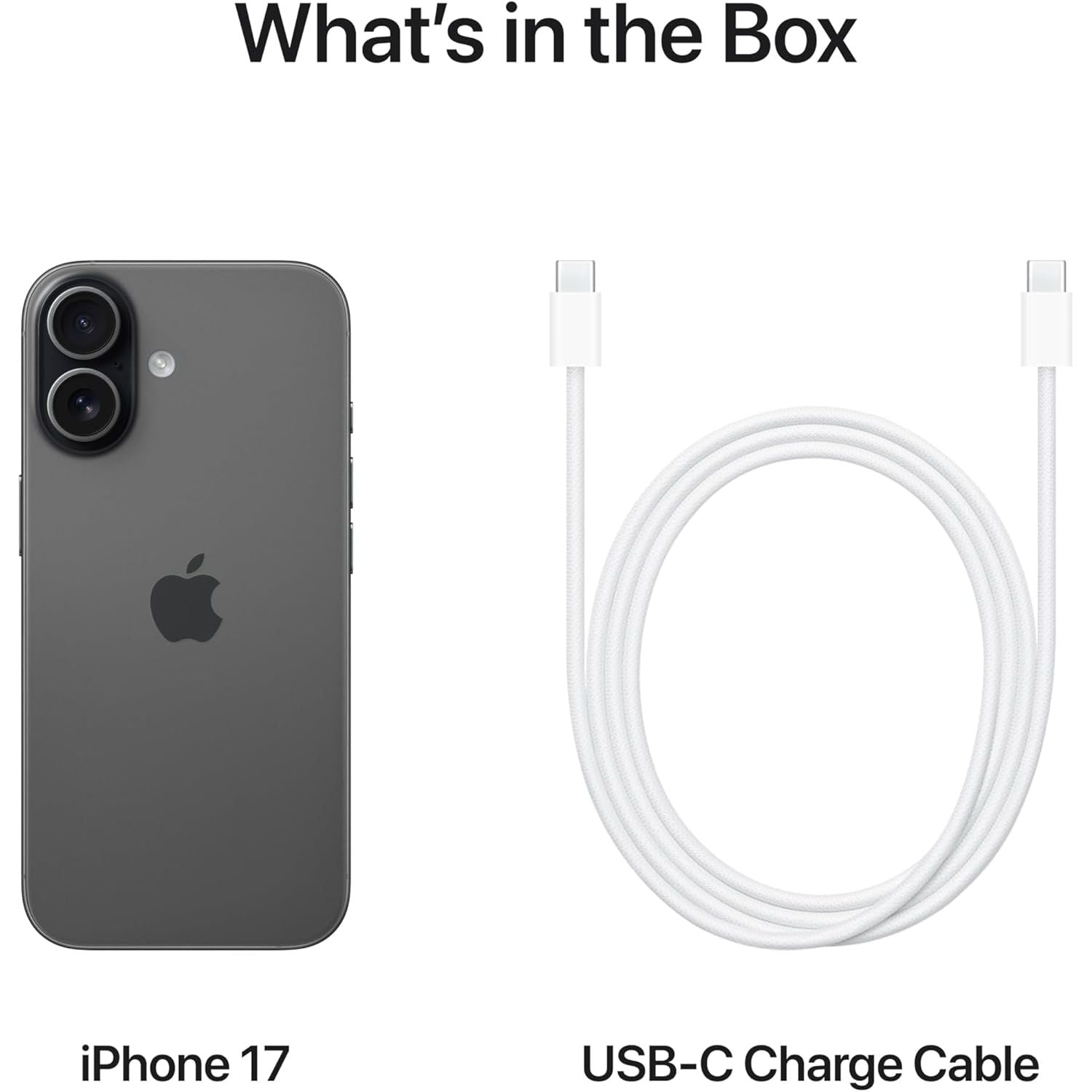 61JzrwDDmDL._AC_SL1500.jpg