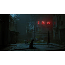Buy Nintendo,Stray (Nintendo Switch) - Gadcet UK | UK | London | Scotland | Wales| Near Me | Cheap | Pay In 3 | Video Game Software