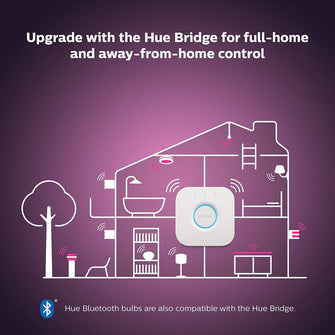 Buy Philips,Philips Hue Go 2.0 Smart Portable Light – White & Colour Ambiance, Bluetooth, Works with Alexa & Google Assistant – Energy Class A (1-Pack) - Gadcet UK | UK | London | Scotland | Wales| Near Me | Cheap | Pay In 3 | Lighting Accessories