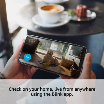 Buy Blink,Blink Mini | Indoor plug-in smart 1080p HD security camera - Gadcet.com | UK | London | Scotland | Wales| Ireland | Near Me | Cheap | Pay In 3 | Surveillance Cameras