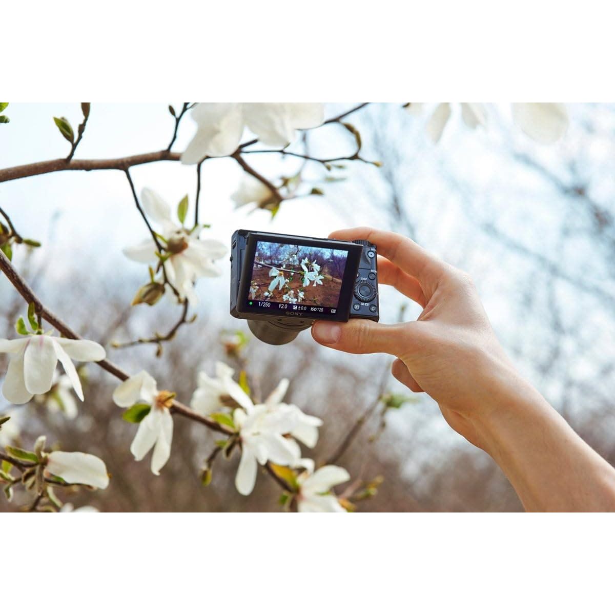 Buy Sony,Sony RX100 III | Advanced Premium Compact Camera (1.0-Type Sensor, 24-70 mm F1.8-2.8 Zeiss Lens and Flip Screen for Vlogging) - Gadcet.com | UK | London | Scotland | Wales| Ireland | Near Me | Cheap | Pay In 3 | Digital Cameras